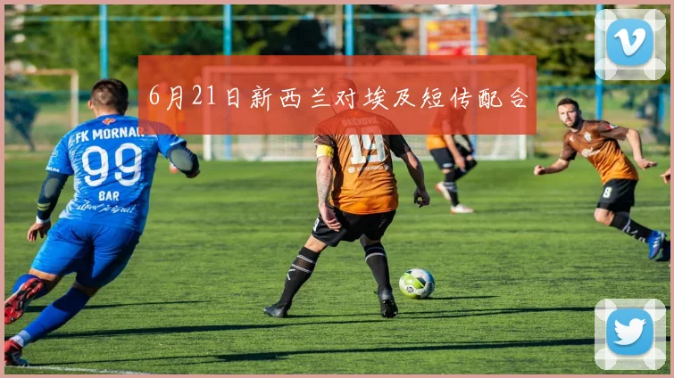 6月21日新西兰对埃及短传配合