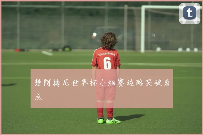楚阿梅尼世界杯小组赛边路突破看点