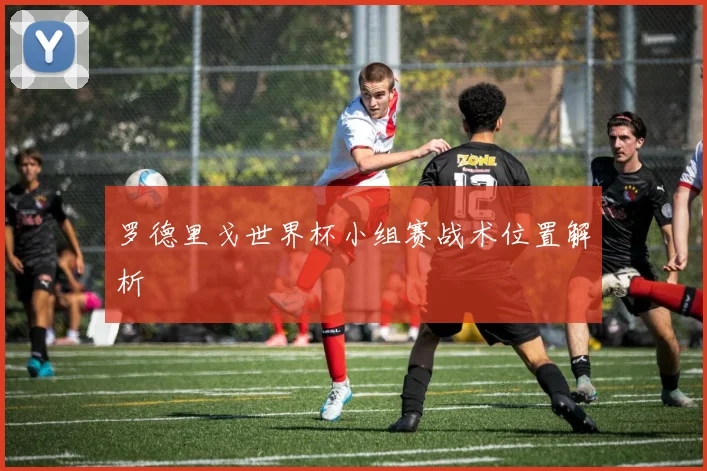 罗德里戈世界杯小组赛战术位置解析