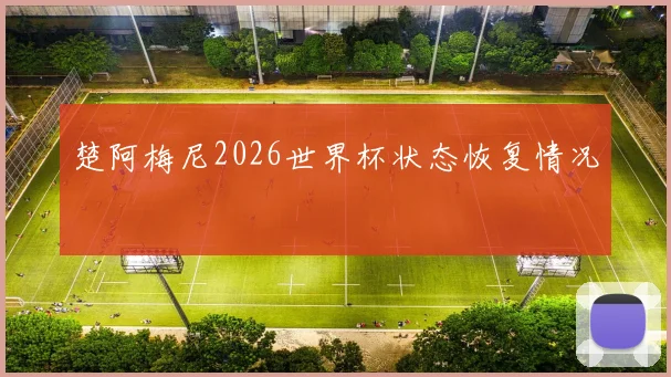 楚阿梅尼2026世界杯状态恢复情况