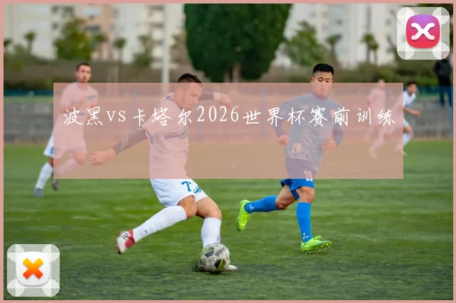 波黑vs卡塔尔2026世界杯赛前训练