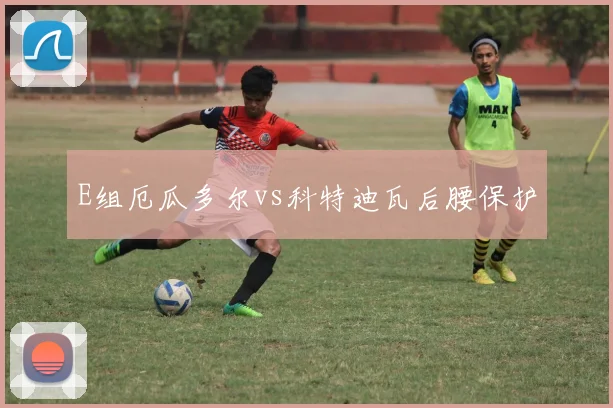 E组厄瓜多尔vs科特迪瓦后腰保护