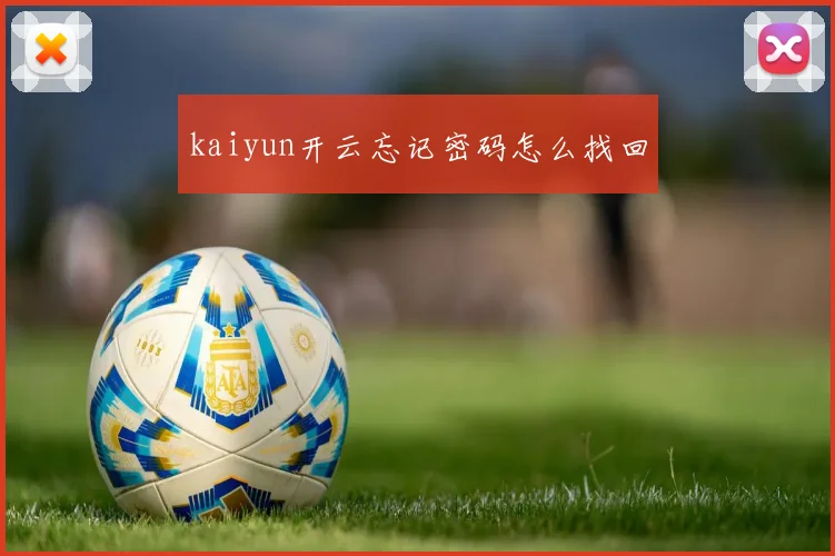 kaiyun开云忘记密码怎么找回