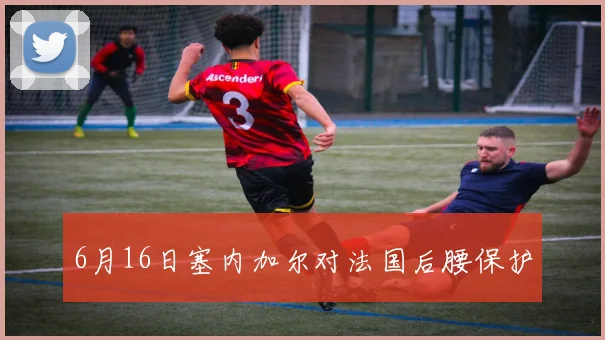 6月16日塞内加尔对法国后腰保护